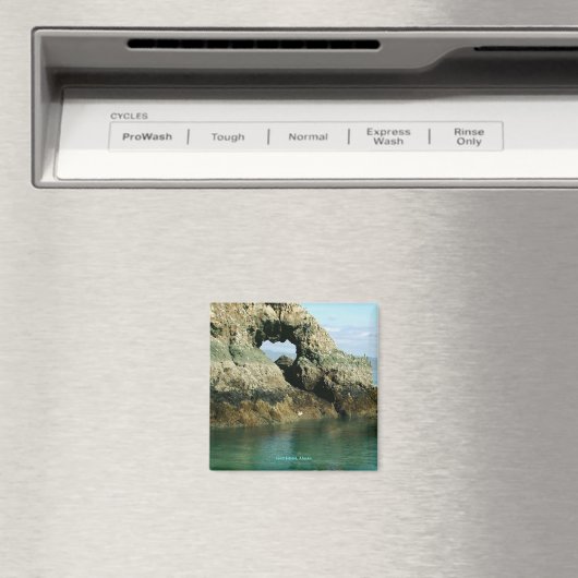 Gull Island, Alaska Magneet (Insitu (Vaatwasser))