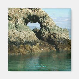 Gull Island, Alaska Magneet