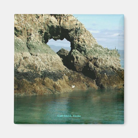 Gull Island, Alaska Magneet (Voorkant)