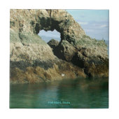 Gull Island, Alaska Tegeltje (Voorkant)