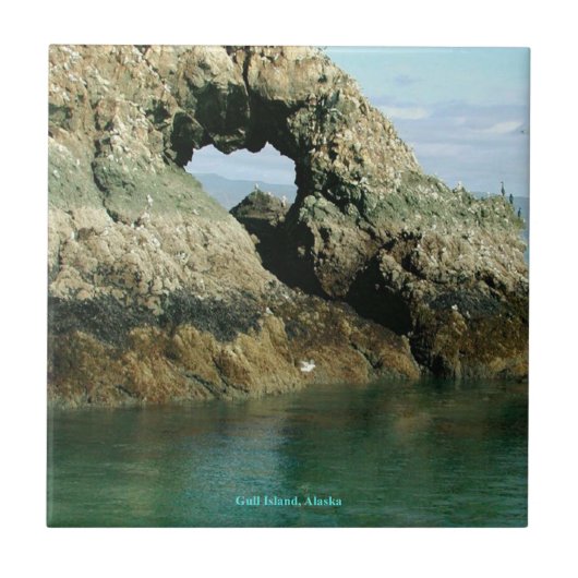 Gull Island, Alaska Tegeltje (Voorkant)