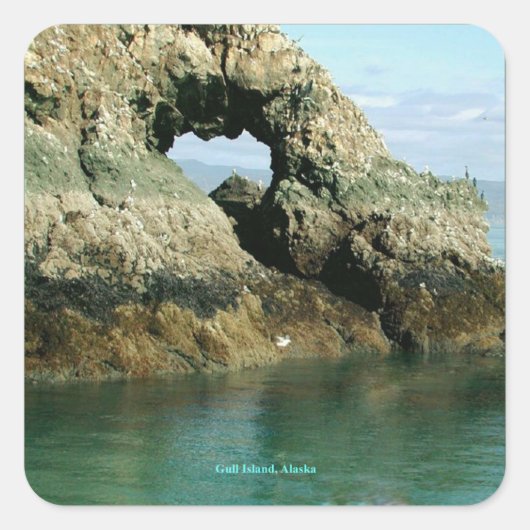 Gull Island Alaska Vierkante Sticker (Voorkant)