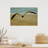 Gull komt naar me toe poster (Keuken)