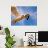 Gull Poster (Thuiskantoor)