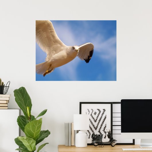 Gull Poster (Thuiskantoor)
