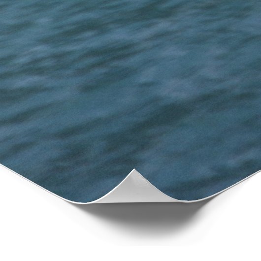 Gull Poster (Hoek)