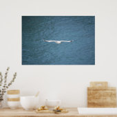 Gull Poster (Keuken)