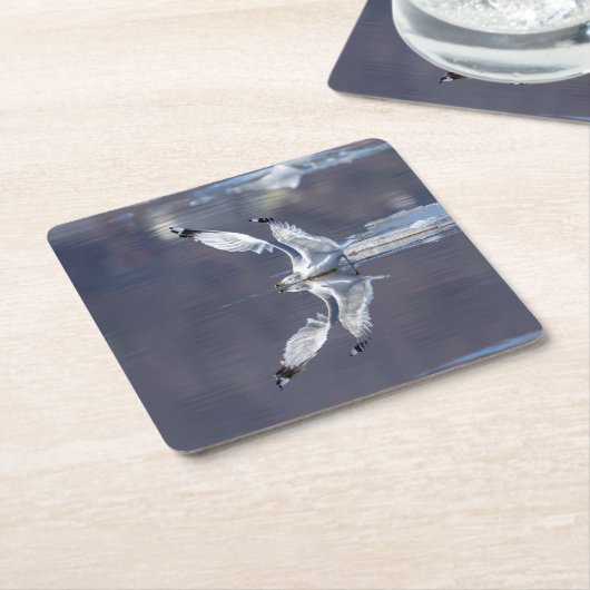 Gull Reflections Kartonnen Onderzetters (Schuin)