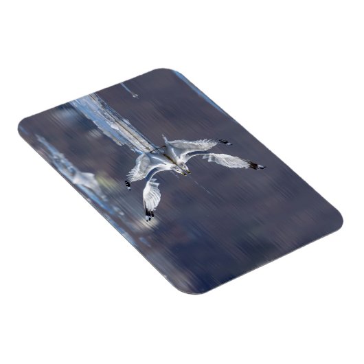 Gull Reflections Magneet (Rechterzijde)