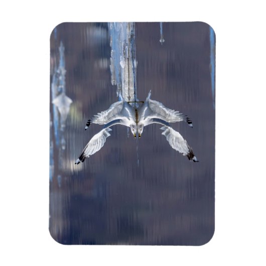 Gull Reflections Magneet (Verticaal)