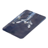 Gull Reflections Magneet (Linkerzijde)