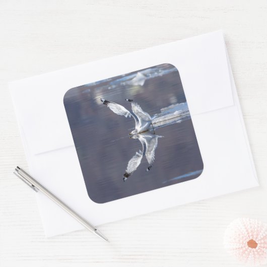 Gull Reflections Vierkante Sticker (Envelop)