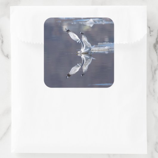 Gull Reflections Vierkante Sticker (Tas)