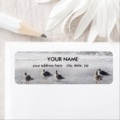 Gull Squad Etiket (Insitu)