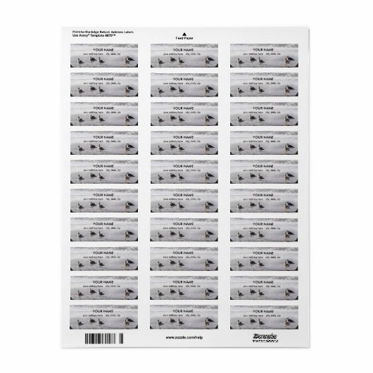 Gull Squad Etiket (Full Sheet)