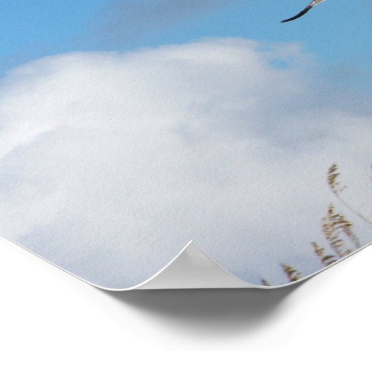 Gull Trio 2 Poster (Hoek)