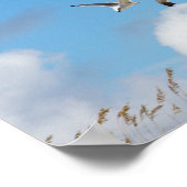 Gull Trio 3 Poster (Hoek)