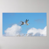 Gull Trio 5 Poster (Voorkant)