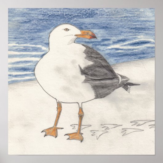 GULL-zee (15 x 15 inch) Poster (Voorkant)