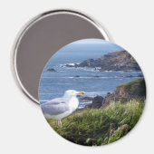 GullCoast Magneet (Voorkant / Achterkant)