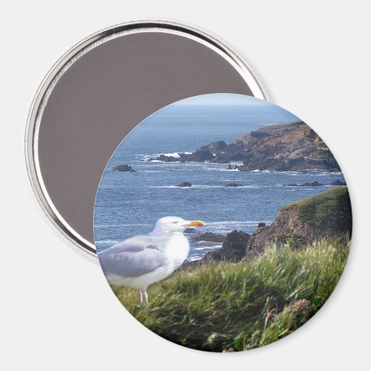 GullCoast Magneet (Voorkant / Achterkant)