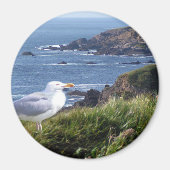 GullCoast Magneet (Voorkant)