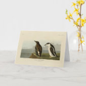 Gullemot, Audubon Birds of America Kaart (Gele Bloem)