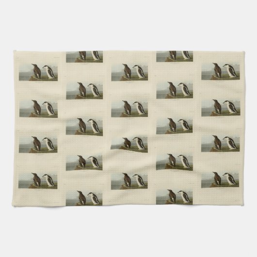 Gullemot, Audubon Birds of America Theedoek (Horizontaal)