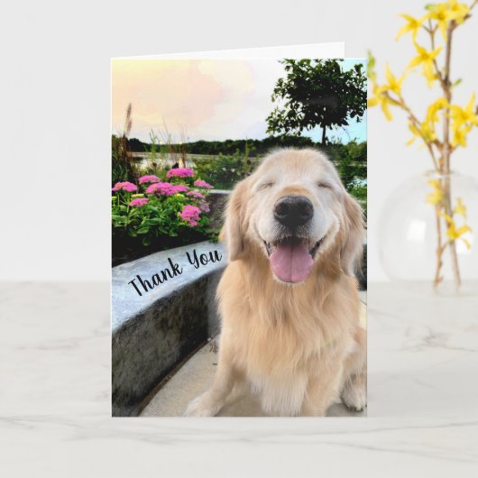 Gullende Golden Retriever op zonsondergang Dank je Kaart (Gele Bloem)