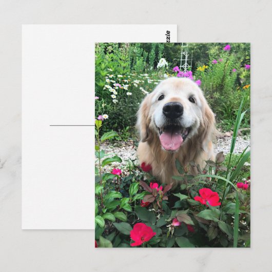 Gullende gouden klokkenlug onder bloemen briefkaart (Voorkant / Achterkant)