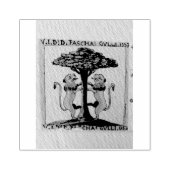 GULLI FAMILY CREST STEMPEL (Afrduk)