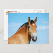 Gulliver Headshot Briefkaart (Voorkant / Achterkant)