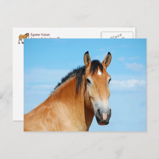 Gulliver Headshot Briefkaart (Voorkant / Achterkant)