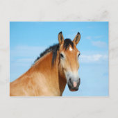 Gulliver Headshot Briefkaart (Voorkant)