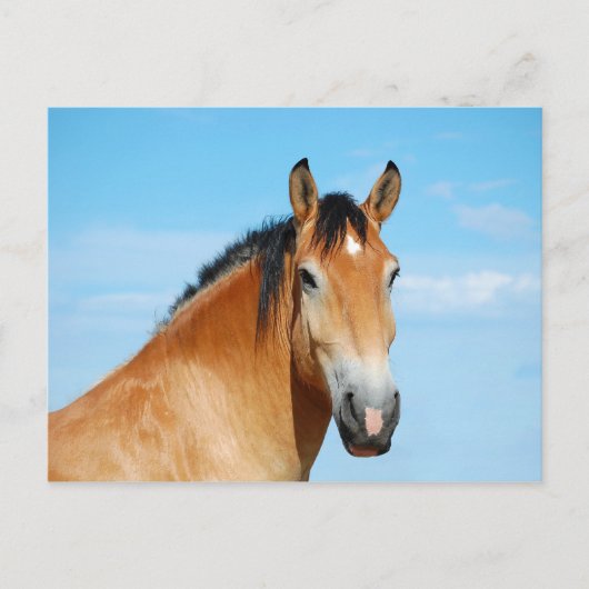 Gulliver Headshot Briefkaart (Voorkant)