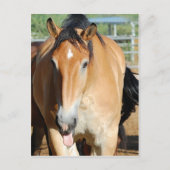 Gulliver Tongue Out Briefkaart (Voorkant)