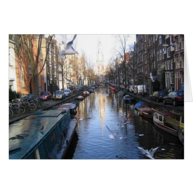 Gulls (Voorkant Horizontaal)