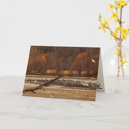 Gulls and Gese Fathers Day Kaart (Gele Bloem)