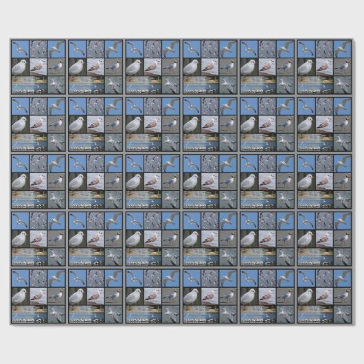 Gulls en zeemaasmozaïeken cadeaupapier (Vlak)