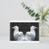 Gulls, Gulls, Gulls Briefkaart (Staand voorkant)