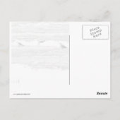 Gulls op ijs briefkaart (Achterkant)