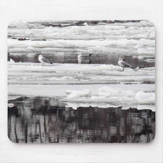 Gulls op ijs muismat (Voorkant)