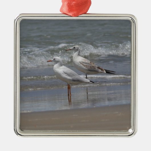 Gulls Ornamanet Metalen Ornament (Voorkant)