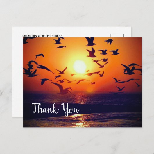 Gulls Silhoueted door Oranje Zonnetijd Dank u Briefkaart (Voorkant / Achterkant)
