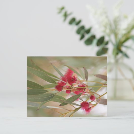 Gum Blossom Briefkaart (Staand voorkant)