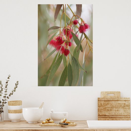 Gum Blossom Poster (Keuken)