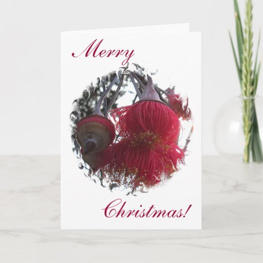 Gum Nut-kerstkaart Feestdagen Kaart (Voorkant)