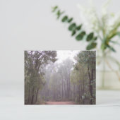 Gum Trees Briefkaart (Staand voorkant)