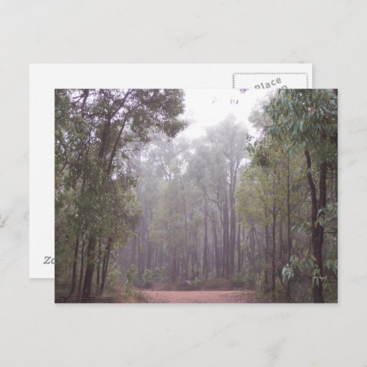 Gum Trees Briefkaart (Voorkant / Achterkant)