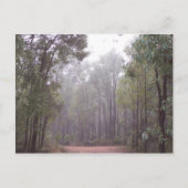 Gum Trees Briefkaart (Voorkant)